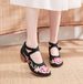High Custom-made Thick Heels, Women's Embroidered Cloth Shoes, Mary Jane Student Shoes_vogvips.com