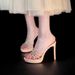 Sexy Feng Shui Diamond Cross Strap Stiletto High Heels Female 2026 New Open-toed Slippers Fairy Wind Cool Slippers_vogvips.com