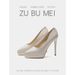 1233A Pointed Toe Stiletto Waterproof Platform High Heels For Women 2025 Spring New European And American Sexy Suede_vogvips.com