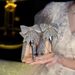 Silver High Heels 2025 Spring And Autumn New Sequin High-end Rhinestone Bow Pointed Toe Wedding Single Shoes For Women_vogvips.com