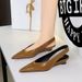 6600 European And American Style Fashion Retro Low-heeled Women's Shoes, Pointed Toe, V-cut, Shallow Wedge Heel, Back_vogvips.com