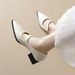 Pointed Single Shoes Women's Thick Heel With Shallow Mouth Mary Jane Shoes French Temperament High Heels_vogvips.com