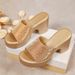 Plus Size High Heeled Sandals For Women Outdoor Summer Style Chunky Sequined Heel European American Style_vogvips.com