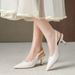Hui Liya G6832-68 Spring/Summer New Buckle Strap Closed-Toe Sandals Nude Pointed Toe Stiletto Shallow High-Heel Pumps_vogvips.com