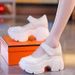 Mary Jane Shoes Women's Single Shoes Round Head Platform Small Leather Shoes High Heel Shallow Mouth Muffin Shoes_vogvips.com