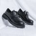 Niche Big Toe Leather Shoes Men's Casual Business Round Toe Derby Shoes 2023 Dark British Style Trend 188188-R_vogvips.com