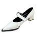 Rough Heeled Mary Jane Niche Shoes For Women In Autumn And Winter 2025 Versatile Shallow Mouth Single Buckle With Black_vogvips.com