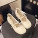 French Mary Jane Shoes 2026 Spring And Autumn New Retro Gentle Temperament With Skirt Thick Heel Light Mouth Single Shoes Women's Shoes_vogvips.com