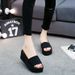 2017 New Elastic Belt Flat Bottom Slope One Line Women's Cool And Slippery Cake Heel Slippers Summer_vogvips.com