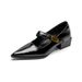 Pointed Single Shoes Women's Thick Heel With Shallow Mouth Mary Jane Shoes French Temperament High Heels_vogvips.com