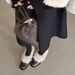 Retro Mary Jane Shoes - Slip-On Faux Fur Lined Leather Loafers With Chunky Heel, Warm Winter & Spring Casual Flats For Women_vogvips.com