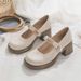 Mary Jane Leather For Women 2025 Spring Summer New Trendy High With Chunky Heels And Shallow Mouth Fairy Style Single_vogvips.com