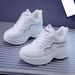Factory Wholesale Height-Increasing Dad Shoes For Women, Internet Celebrity Versatile Spring And Autumn New Thick-Soled_vogvips.com