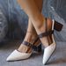 Sandals For Women Summer 2025 New Export Pointed Toe One-Strap Roman Shoes Shallow Mouth Chunky Heel High Heels_vogvips.com