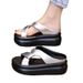 Thick-Soled Platform For Women, Summer 2025 New Style, Soft Sole, Slip-On, Non-Slip Beach Sandals To Match Dresses_vogvips.com