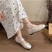NEW French-style Bow-up High-heeled Mary Jane Women's Shoes With Single Strap And Shallow Toe, Paired With A Skirt And Ballet Flats_vogvips.com