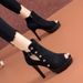 European And American Style Open-toe Roman Sandals For Women, New Summer Model, Waterproof Platform, Studded High Heels,_vogvips.com