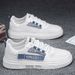 Men's New Summer Breathable White Trend Versatile Mesh Panel Youth Casual Sports Shoes_vogvips.com