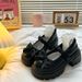 Round Toe Thick Heel Mary Jane 2025 New French Bow Small Leather Women's Single Shoes_vogvips.com