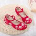 Women’s Shoes Summer New Style Retro Embroidered Women's Embroidered Single Shoes Matching Dance Women's Shoes_vogvips.com