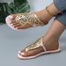 2024 Plus Size Women's Beach Sandals Fashionable Bow Tie Flat Comfortable European American Style PU Slides In Black Brown_vogvips.com