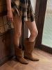 Dui Dui Boots' New 2025 Winter Maillard Western Cowboy Boots, Thick-heeled Pointed Ankle Boots_vogvips.com