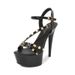 MTX 8661-62 Fashion Show Essential High Heels Stiletto Sexy Waterproof Platform 15cm Studded Sandals For Women Summer_vogvips.com