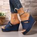 Women's plus Size Wedge Sandals Summer Peep Toe Thick Sole Denim New Style Size 43_vogvips.com