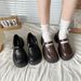 Chunky-heeled British-style Women's Leather Shoes, 2025 Spring New Model, Thick-soled, Round-toed, Ankle-strap, Shallow_vogvips.com