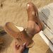 Women's Summer Thick Soled Sandals Breathable Design Hollow Out Beach Slippers_vogvips.com