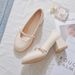Round-Toe Mary Jane 2024 Summer New Slip-On Chunky Heel High Heels Women's Solid Color Versatile Fashion Shoes_vogvips.com