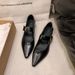 French Thick Heel Single Shoes Women's Spring And Autumn Metal Buckle Pointed Head Shallow Mouth Word With Mary Jane_vogvips.com