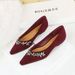French Light Luxury Pointed Rhinestone Chain Decorative Single Shoes Suede Light Mouth Bevel Heel Low Heel Women's Single Shoes_vogvips.com