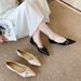 W828-83 Flat Single For Women 2025 New Spring French Style Pointed Toe Black Soft Sole Elegant Commuting Shoes_vogvips.com