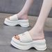sandals Women's Thick Bottom Summer New Casual Versatile Fashion Fairy Wind Soft Bottom Non-slip Beach Shoes_vogvips.com