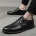 Men's Shoes Crocodile Pattern Men's Dress Gentleman's Leather Shoes Small Leather Shoes Large Size Shoes_vogvips.com