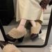 Wasteland Style Pointed Toe Furry Slip-On Retro Fleece-Lined Warm Mary Jane Leather Cotton Chunky Heel Single Shoes_vogvips.com