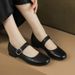 Cameido Women's Spring Soft Sole And Upper Leather Mary Janes Low Heel Low Cut Flats_vogvips.com
