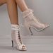 Sandals Hollowed Mesh Heels Belt Buckle Women S Summer Beige Lace Up Sexy Open Toe Boots Stiletto Jazz Dance Party_vogvips.com