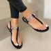 2025 Summer New Flat Bottom Water Diamond Clip Toe Buckle Strap 40-43 Casual For Women Sandals_vogvips.com