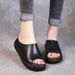 Sandals Women, Size 24, New, Large, Thick Soled, Casual Roman Style, Women's Shoes For Outdoor Wear, Side Trade_vogvips.com
