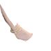 Black High Heels Women 2025 European Station Model Internet Celebrity Fashion Sexy Elegant Pointed Toe One-Strap Thin_vogvips.com
