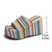 2025 New Thick-Soled Wedge One-Strap Sandals For Women High Heel Transparent Beach Slippers_vogvips.com