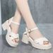 Platform Sandals Fairy Fairy Wind Comfortable Soft Surface Thick Heel Muffin Shoes Roman Shoes Outer Wear Women's Shoes_vogvips.com