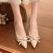 2025 Fall New Style Pointed Toe Bowknot Stiletto Heel Shoes, Elegant French Gentle Slip-On Shallow Shoes For Women_vogvips.com