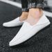 Men’s Shoes Large Size Men's Shoes Summer New Men's Toe Shoes Lazy Casual Korean Style Breathable Linen Canvas Trendy Shoes_vogvips.com
