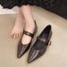 New Soft Leather French-style Soft-soled Elegant Low-heel 2025 Mary Jane Women's Shoes With Pointed Toe And Chunky Heel,_vogvips.com