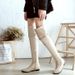 Large Size Over-the-Knee Flat Heel High Tube Long Winter Shoes Women's Boots_vogvips.com