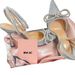 Super Beautiful And Elegant ~ Rhinestone Bowknot Wrapped High Heel Sandals For Women 2025 Genuine Leather Pointed Toe_vogvips.com