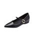 Hidden Heel Elegant Mary Jane For Women 2025 New Spring French Style Pointed Toe Fashion Evening Grandma Shoes_vogvips.com